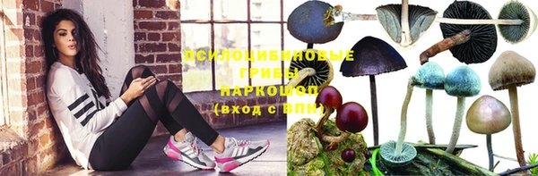 синтетический гашиш Бородино