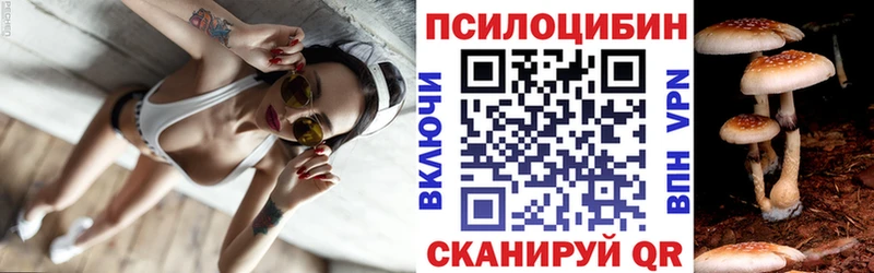blacksprut сайт  Катайск  Псилоцибиновые грибы ЛСД  купить закладку 